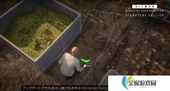 本站