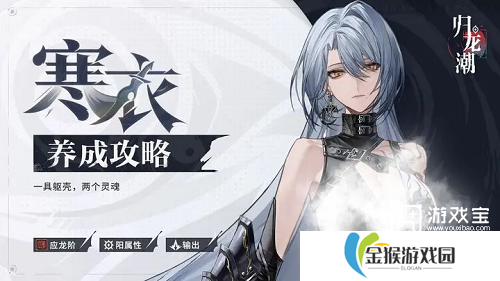 归龙潮寒衣经典配队攻略