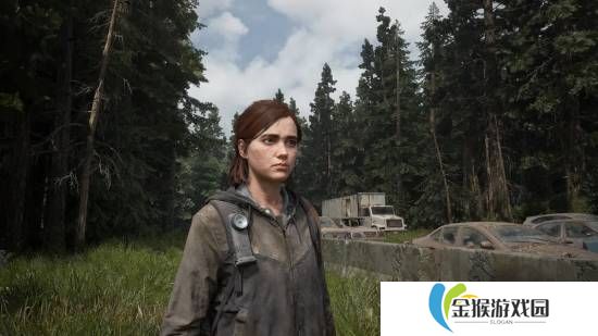 外媒称《美末2》PC版移植优秀 比初代好
