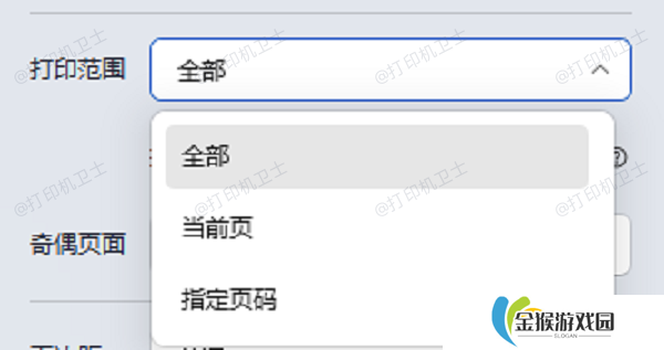 检查打印设置