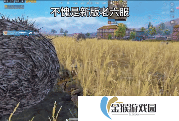 一名合格的老六，身上长稻草只是基本功罢了