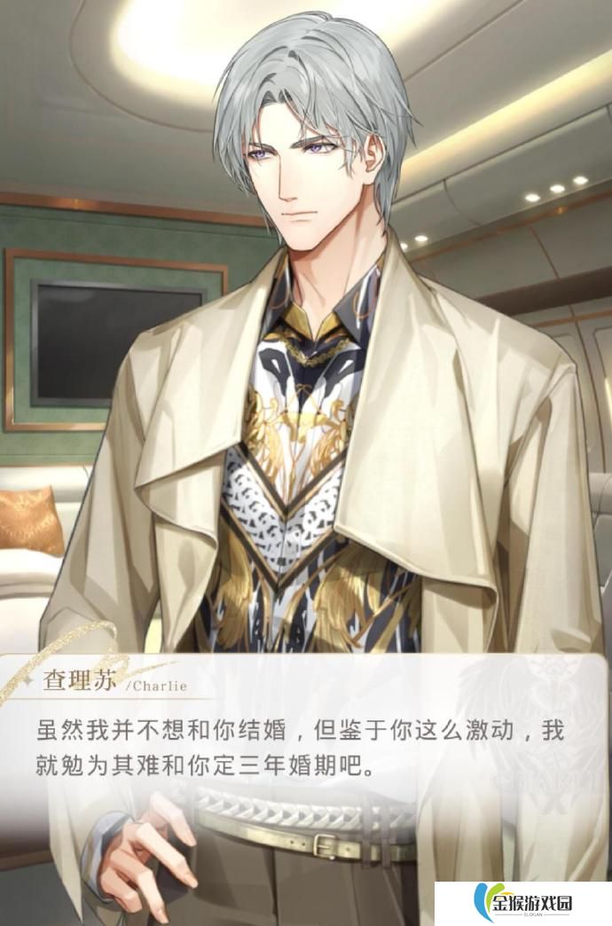 光与夜之恋盈仓储罐哪个最值得买