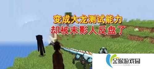 我的世界龙吃什么补血,揭秘其补血食物与繁殖奥秘