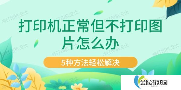 打印机正常但不打印图片怎么办