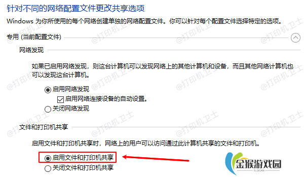 启用文件和打印机共享
