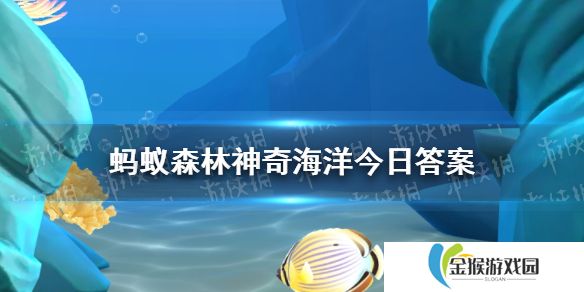 神奇海洋今日答案 蚂蚁森林神奇海洋答案最新