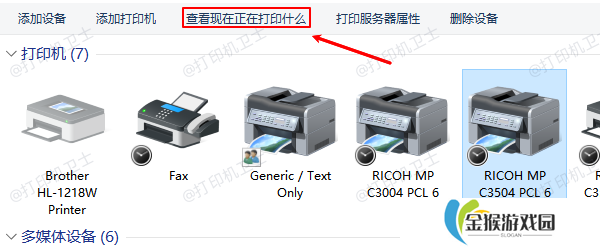查看现在正在打印什么